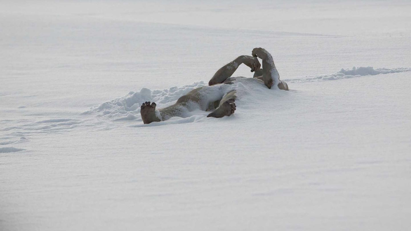 The Last Winter