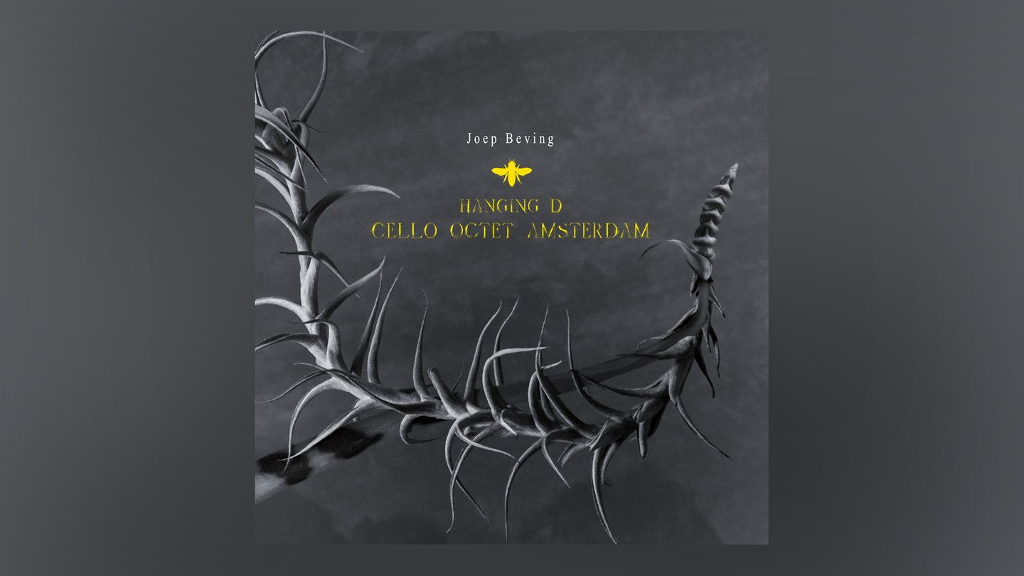 Joep Beving - Hanging D