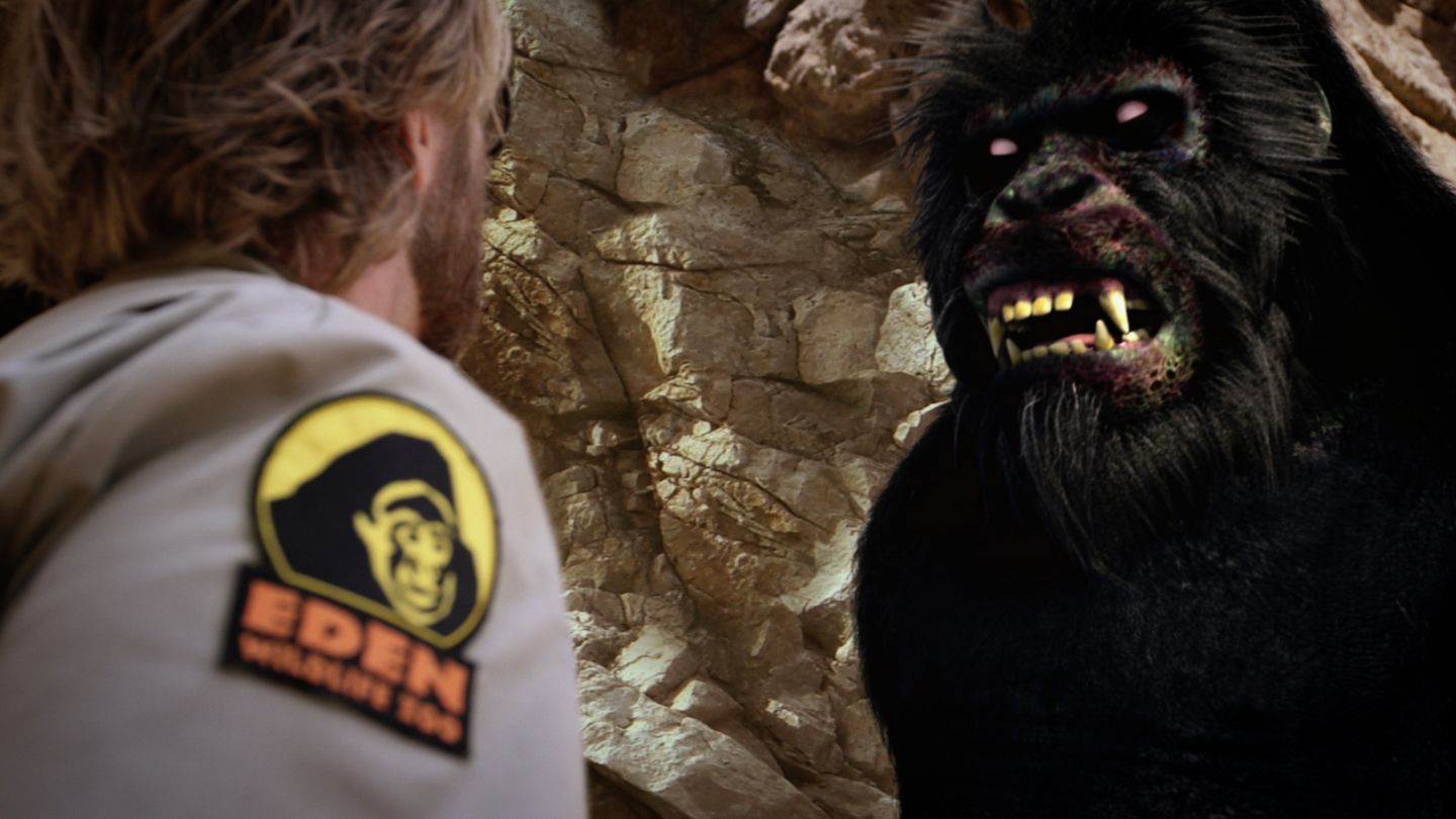 Zoombies