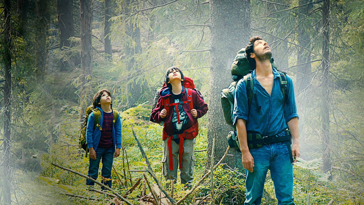 Dans la forêt