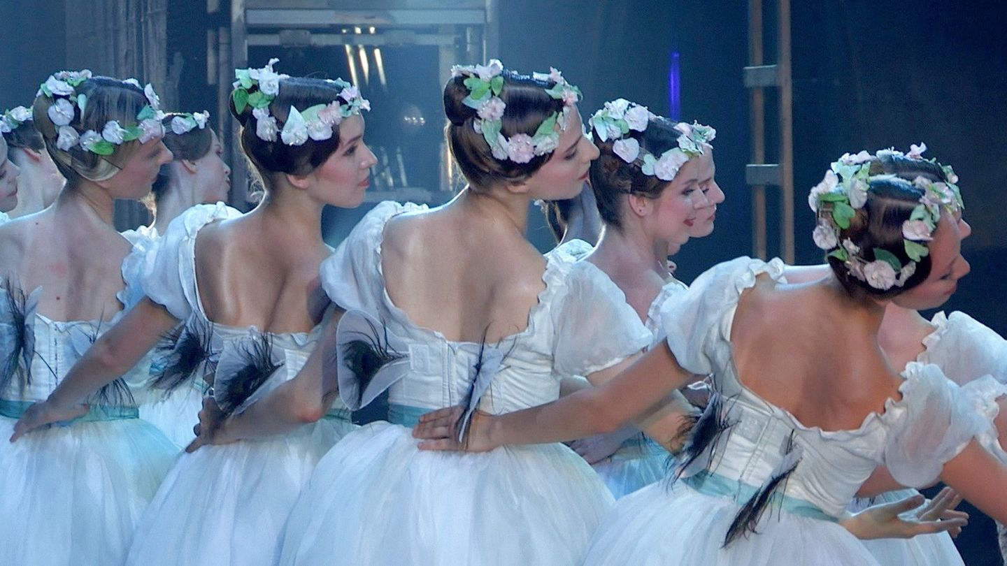 Graines d'étoiles... cinq ans après