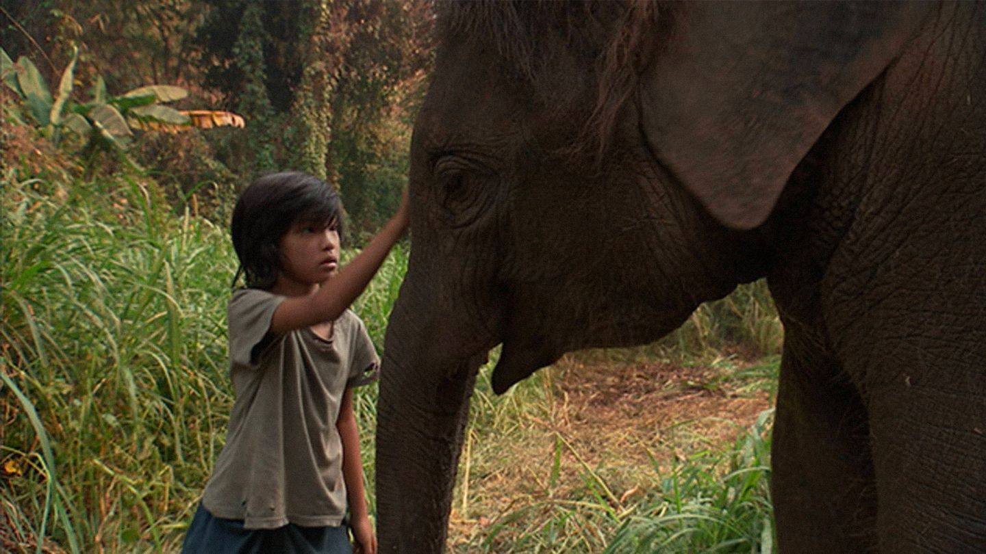 Lucky l'éléphant