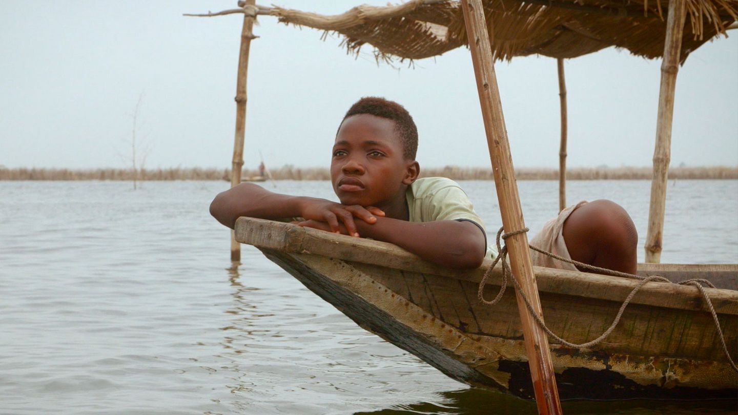 Les sentinelles de l'Afrique