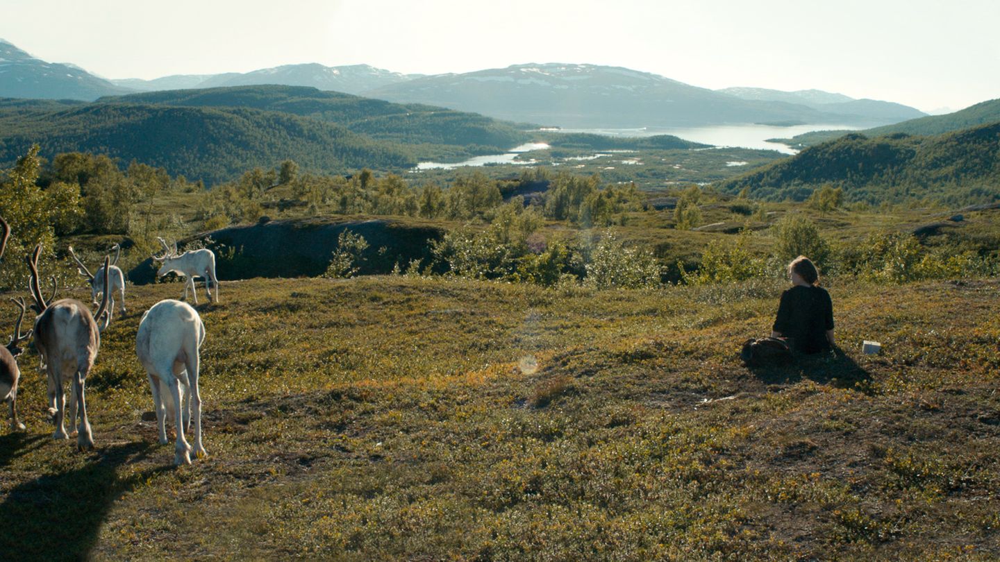 Sami, une jeunesse en Laponie