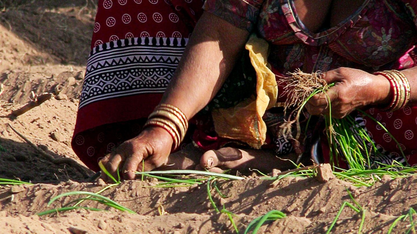 Permaculture, la voie de l'autonomie