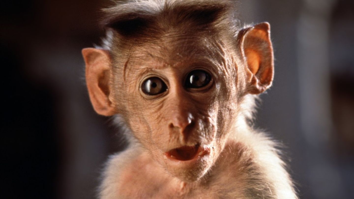 Hanuman