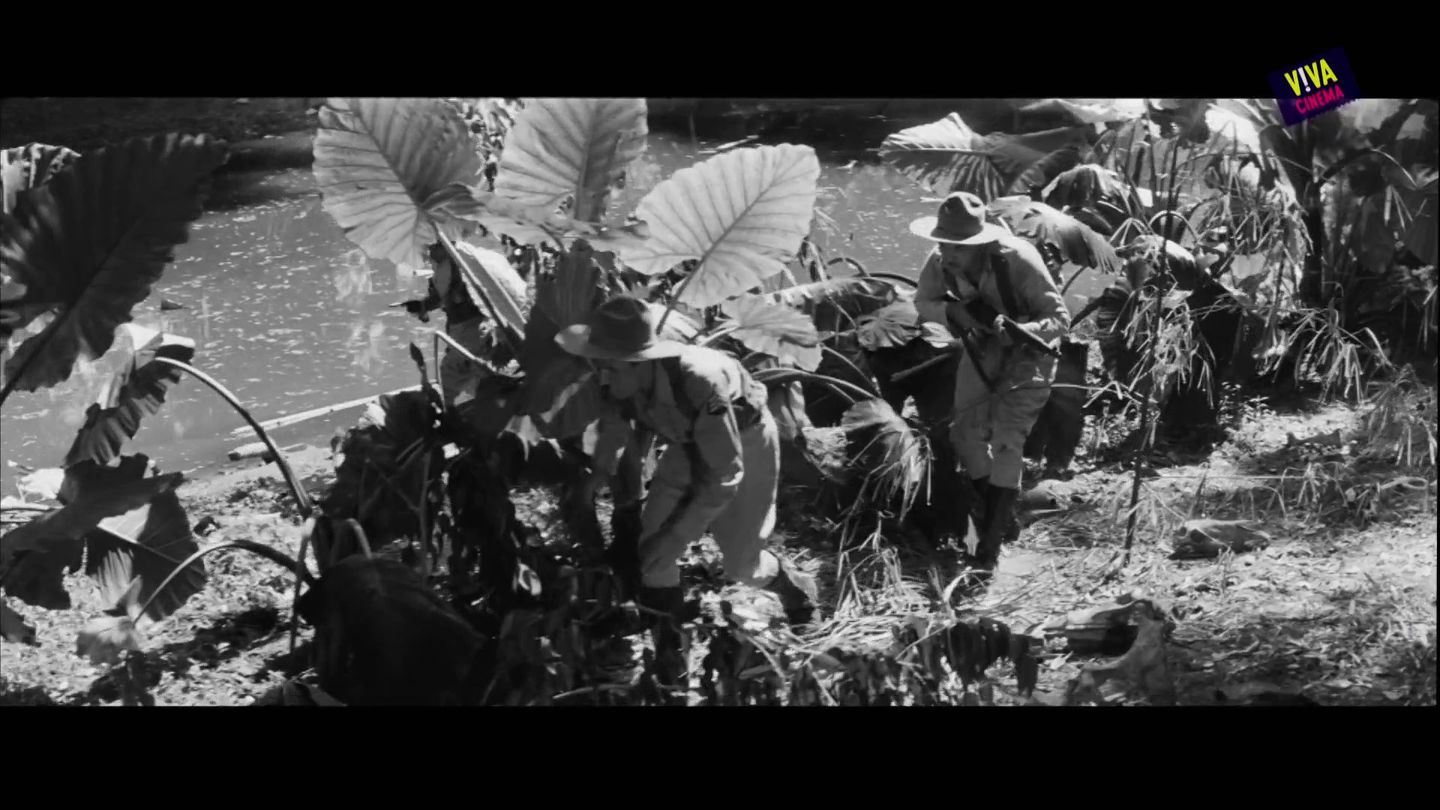 El otro Cristobal libre comme la révolution