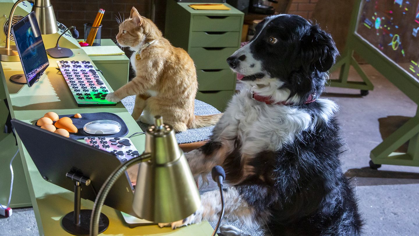 Comme Chiens et Chats 3 : Patte dans la patte