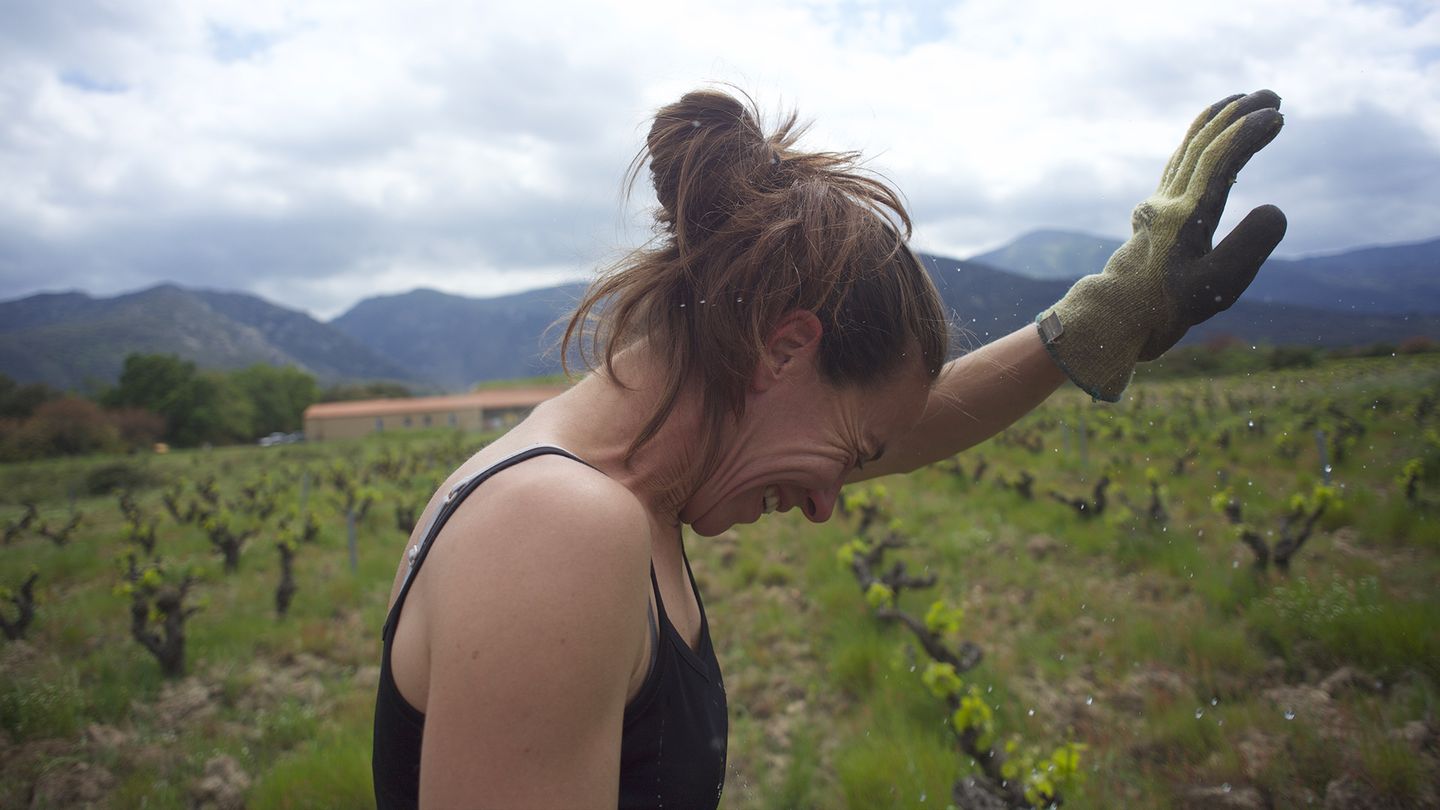 Wine Calling : le vin se lève !