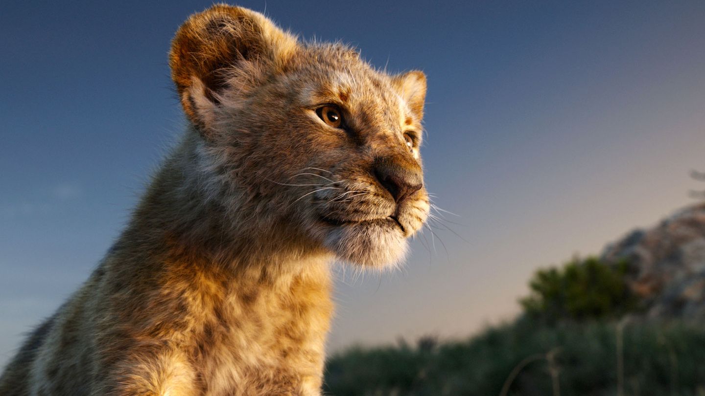 Le roi lion