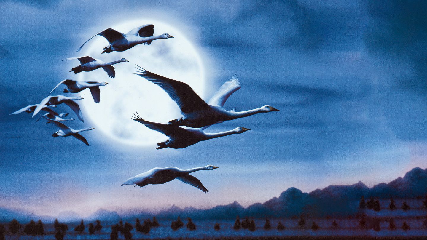 Le peuple migrateur