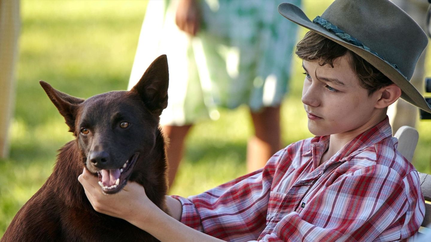 Blue, mon chien d'Australie