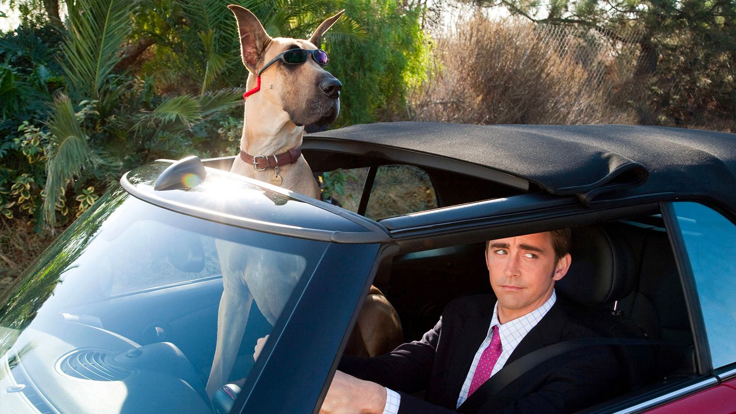 Marmaduke