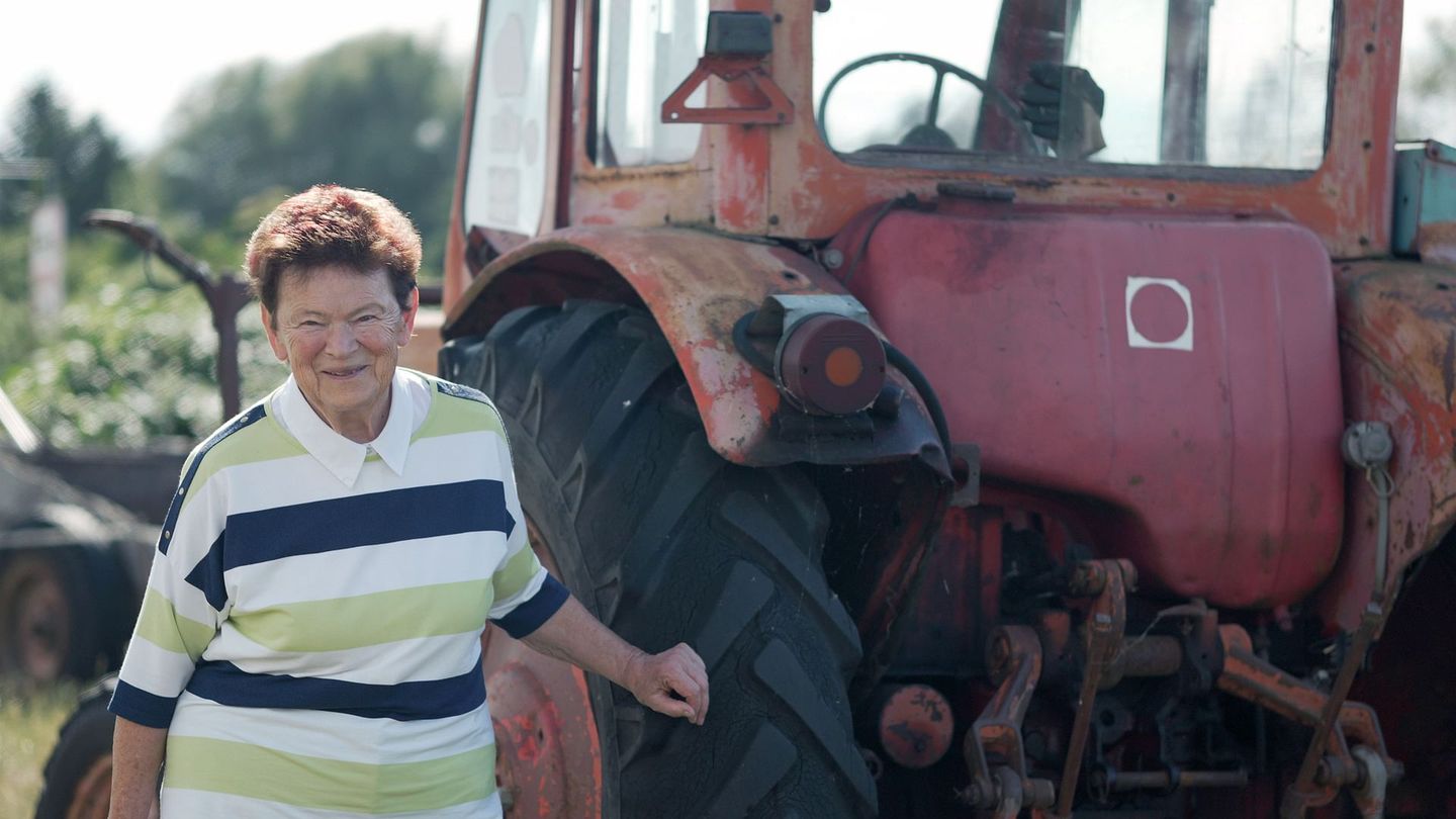 Une histoire de l'agriculture : L'industrialisation
