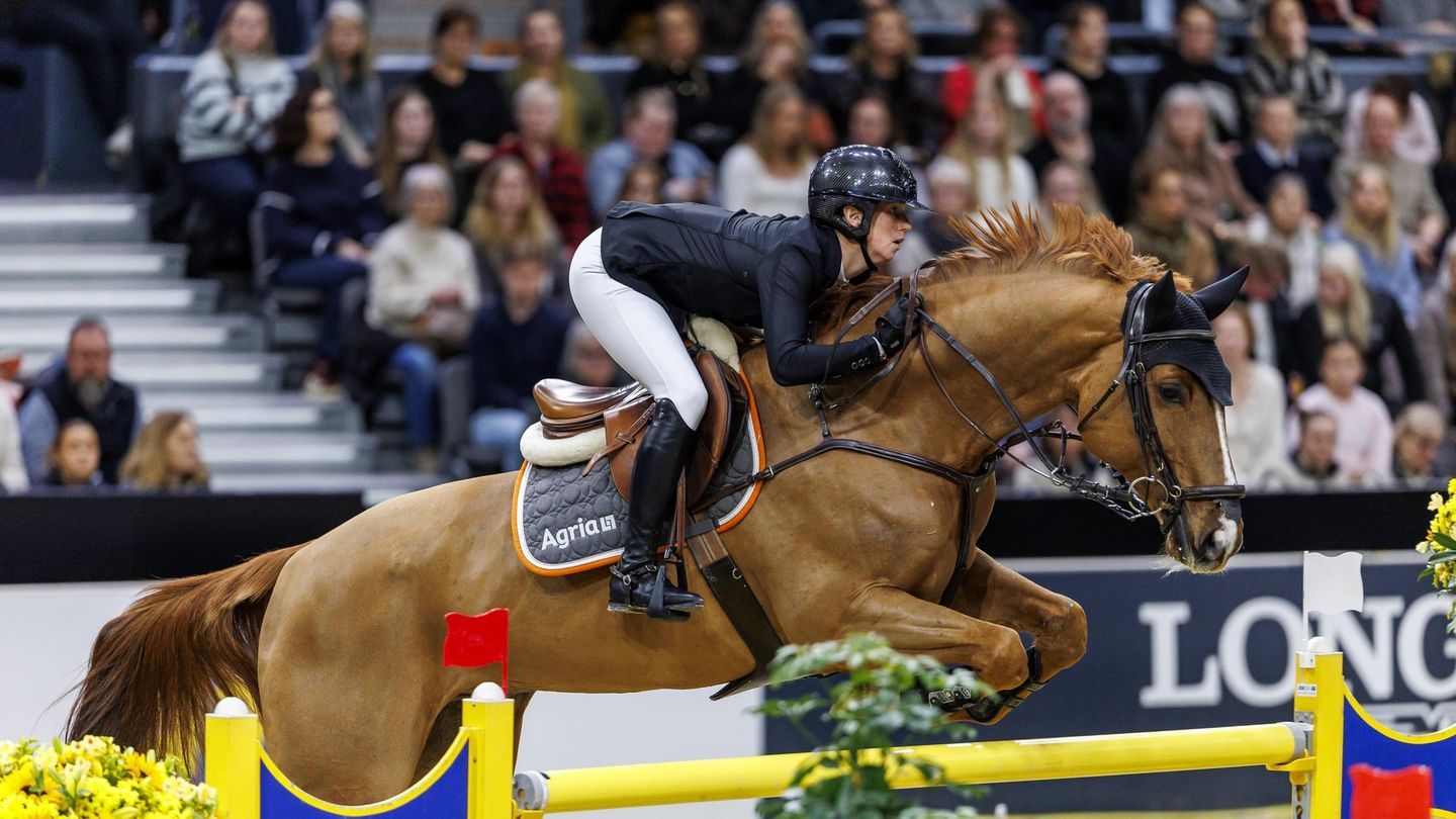 Göteborg | Saut d'obstacles