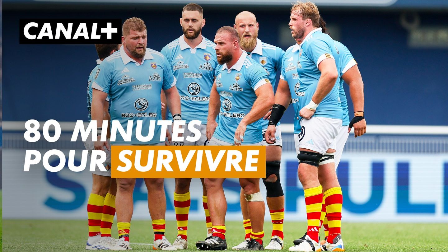 TOP 14 - Access match : L'USAP joue sa saison face à Provence Rugby