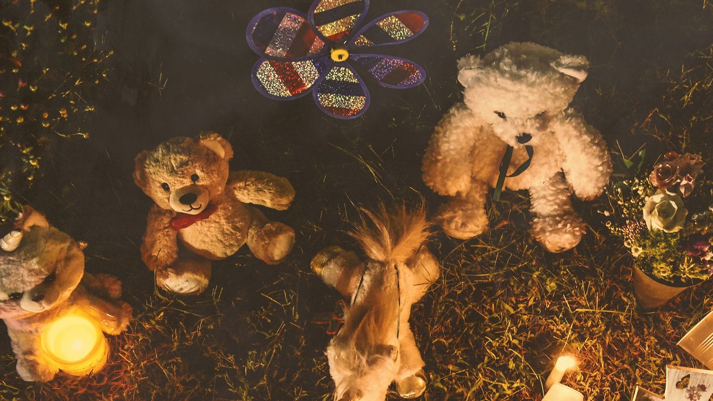 Le meurtre de Gabby Petito