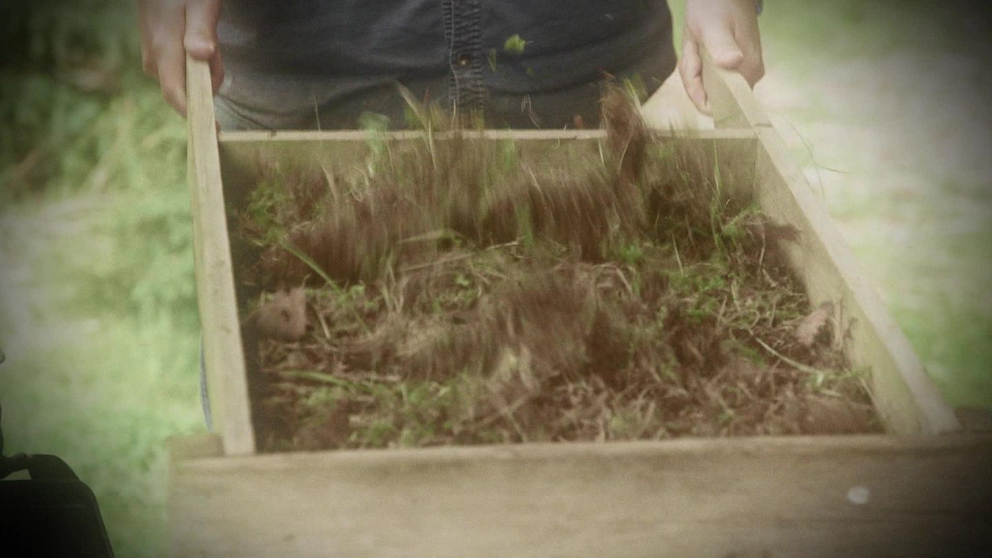 Le mystère d'Oak Island : la course au trésor