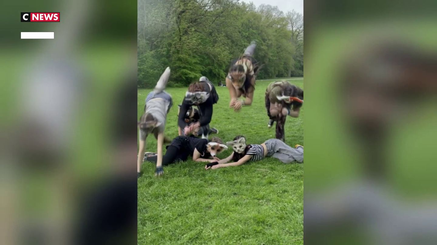 Au Portugal, les vétérinaires refusent de soigner les personnes qui s'identifient aux animaux