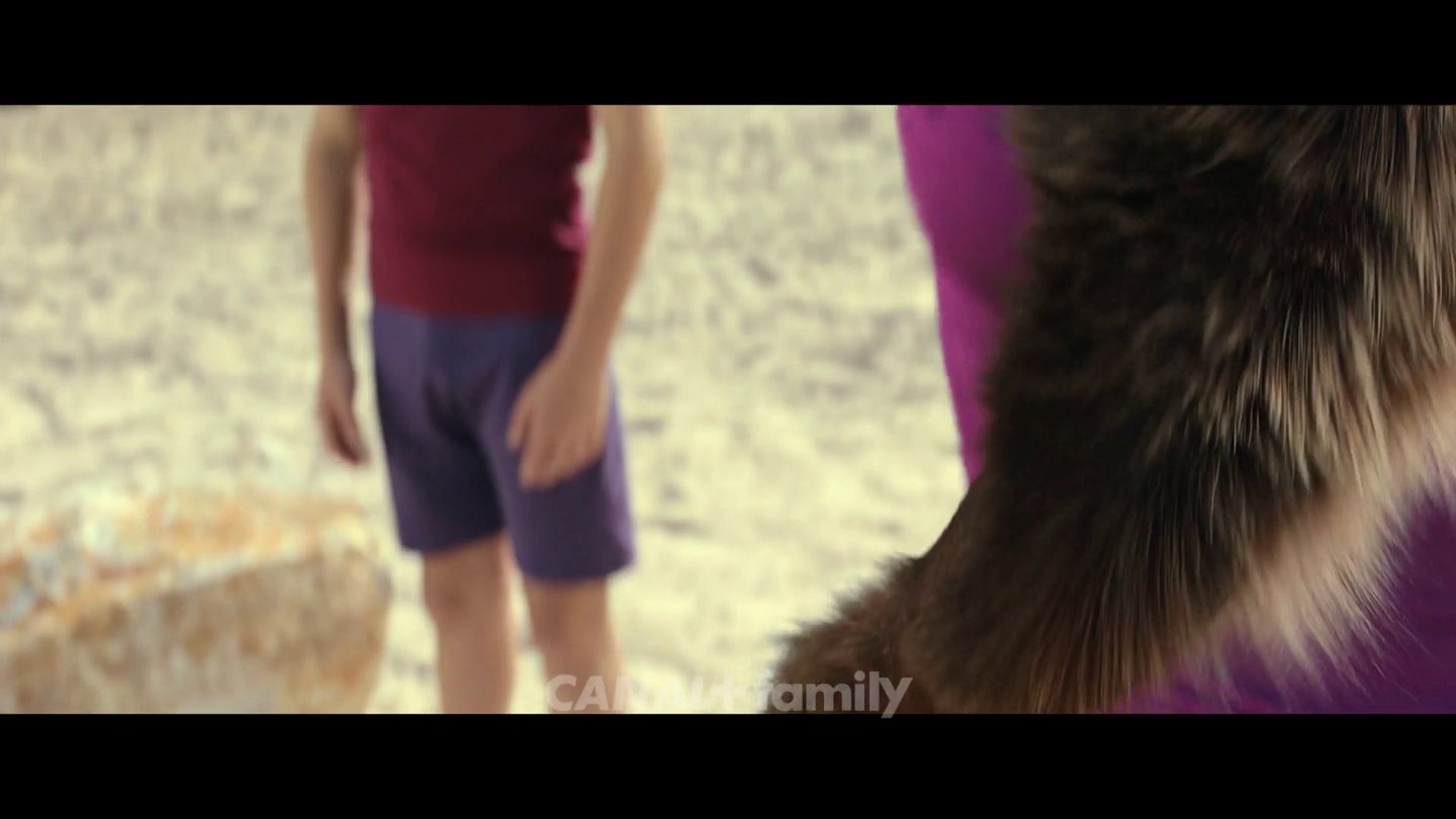 WOODWALKERS BANDE ANNONCE