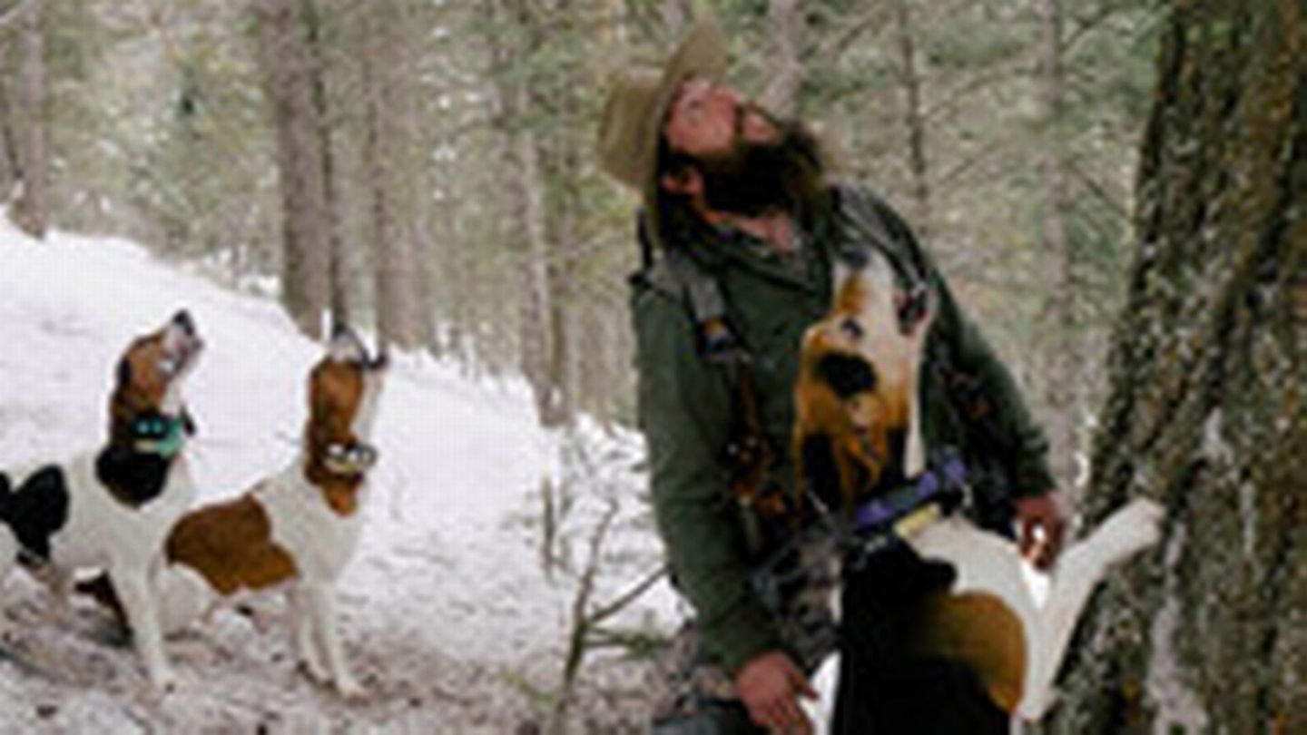 Seuls face à l'Alaska