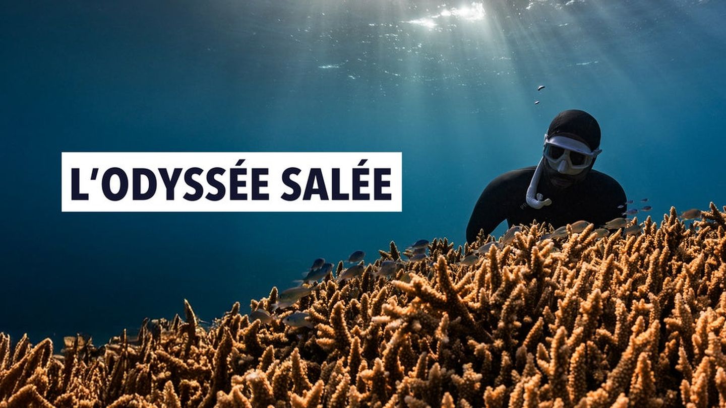 L'odyssée salée