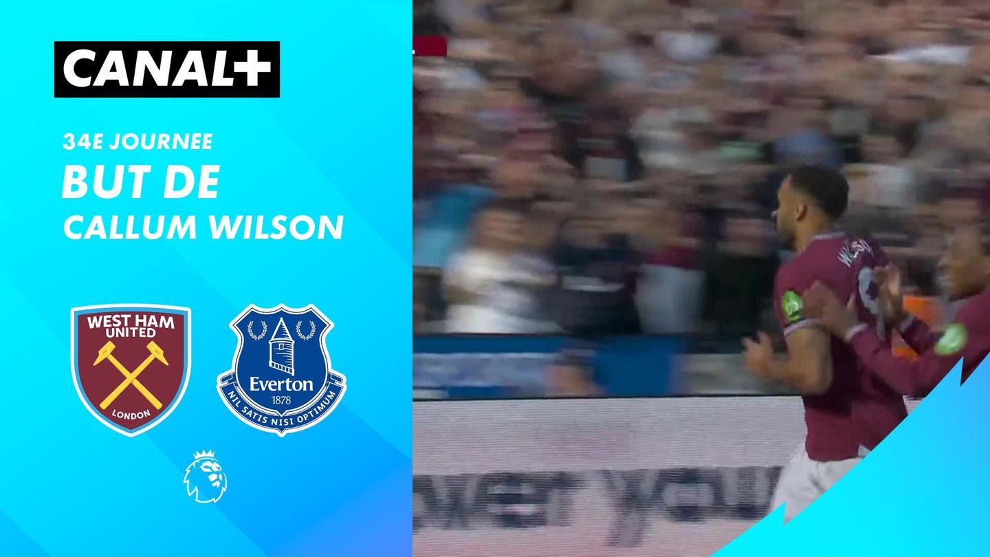 Le but de Callum Wilson contre Everton (92')