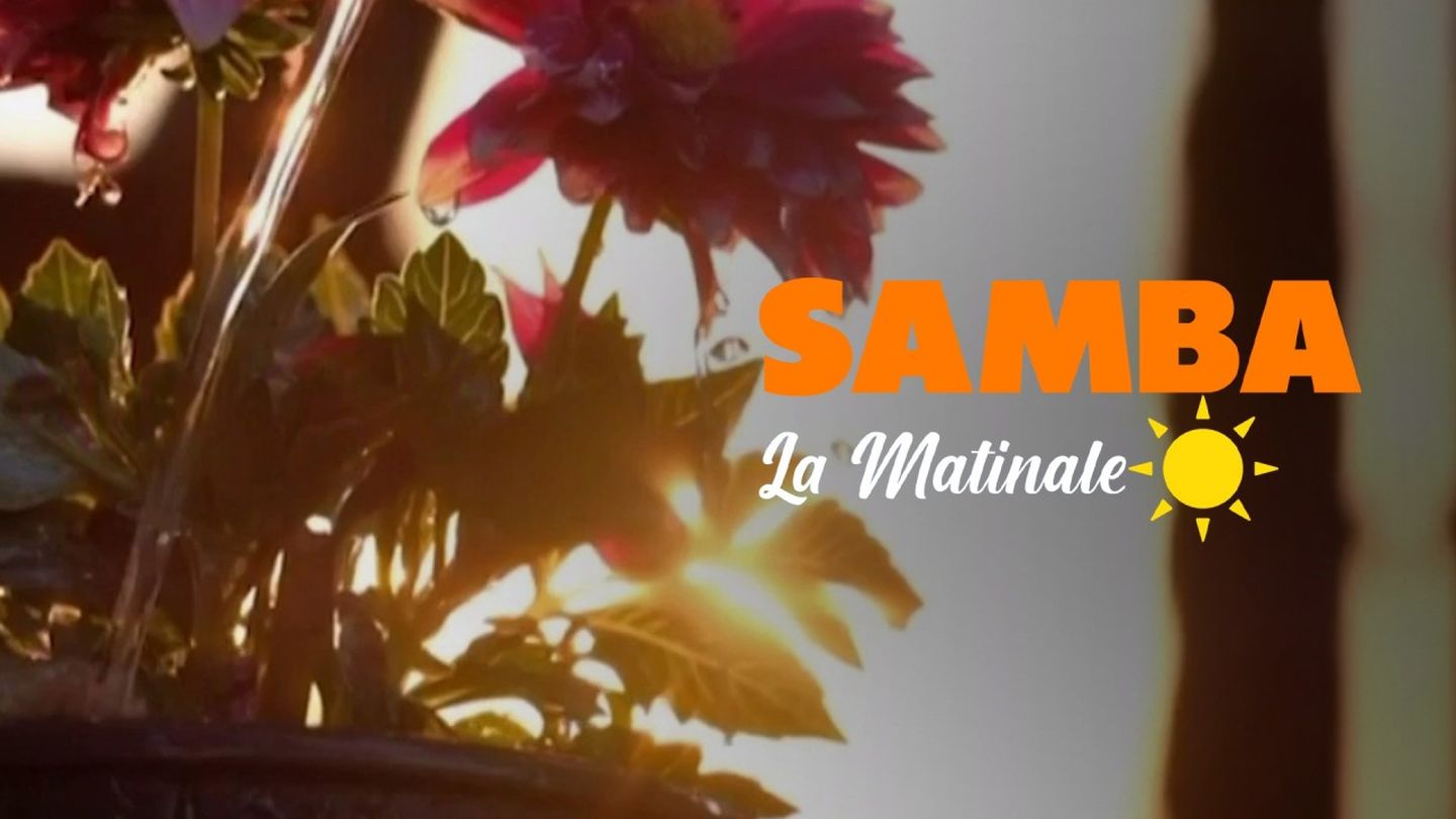 Samba la matinale - 29 Mai 2026