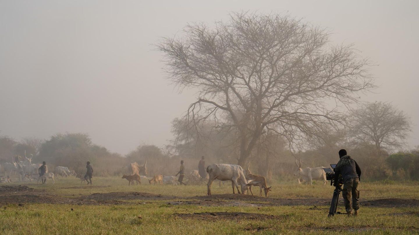 Sur la piste du dernier rhinocéros blanc