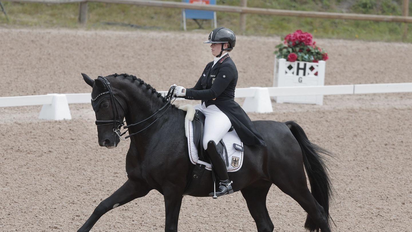 Championnats d'Europe | Dressage