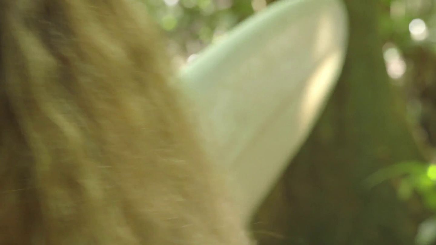 Bonus : Making of du film Maraé