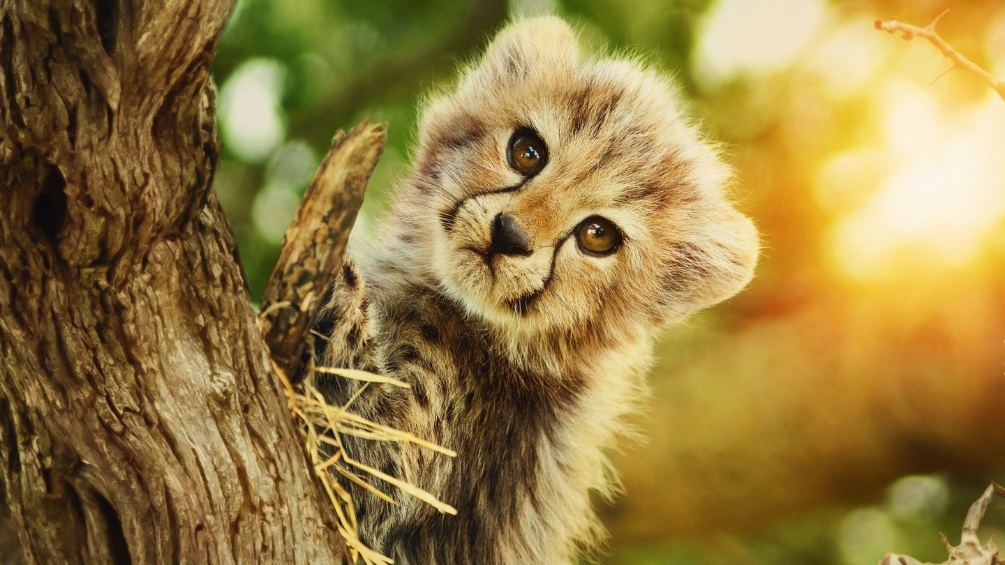 Naturellement sauvages