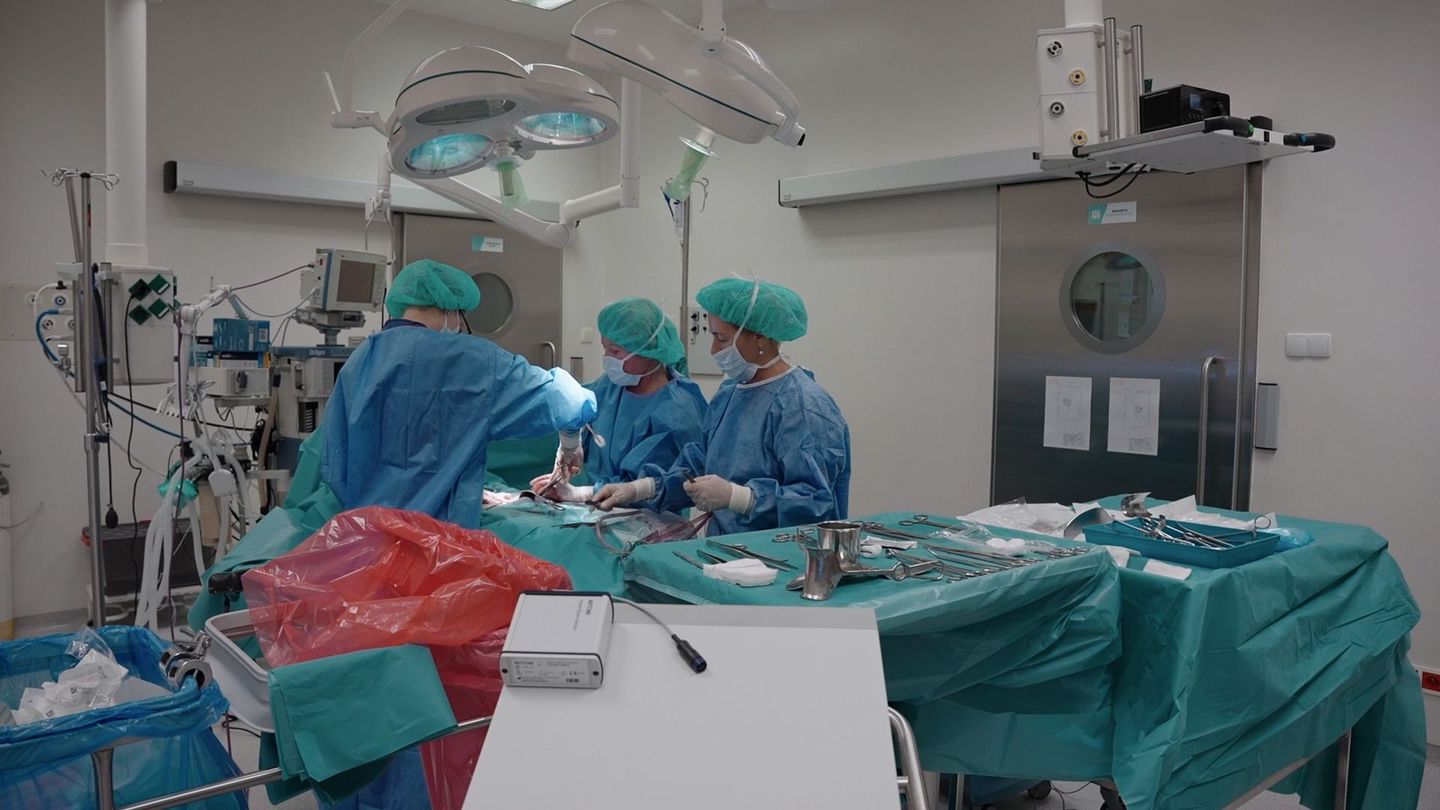 Les combattantes de l'avortement