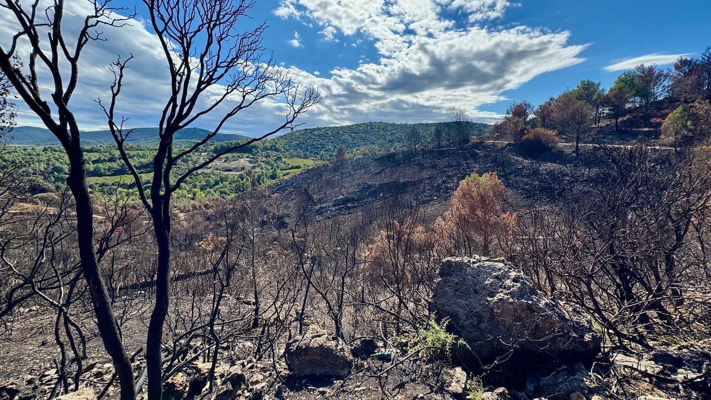 Incendies, innover pour mieux lutter
