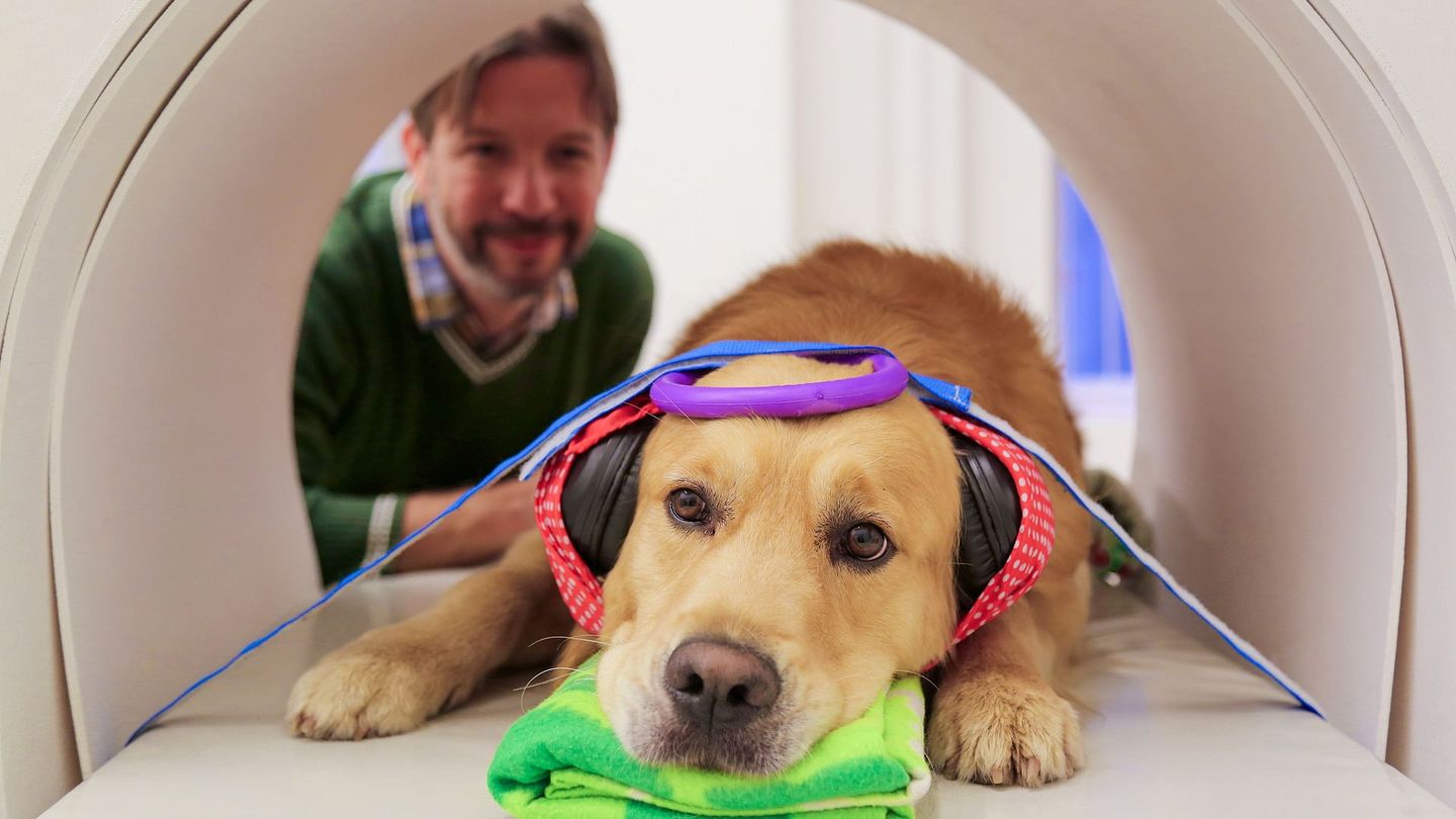 Les chiens peuvent-ils parler ?