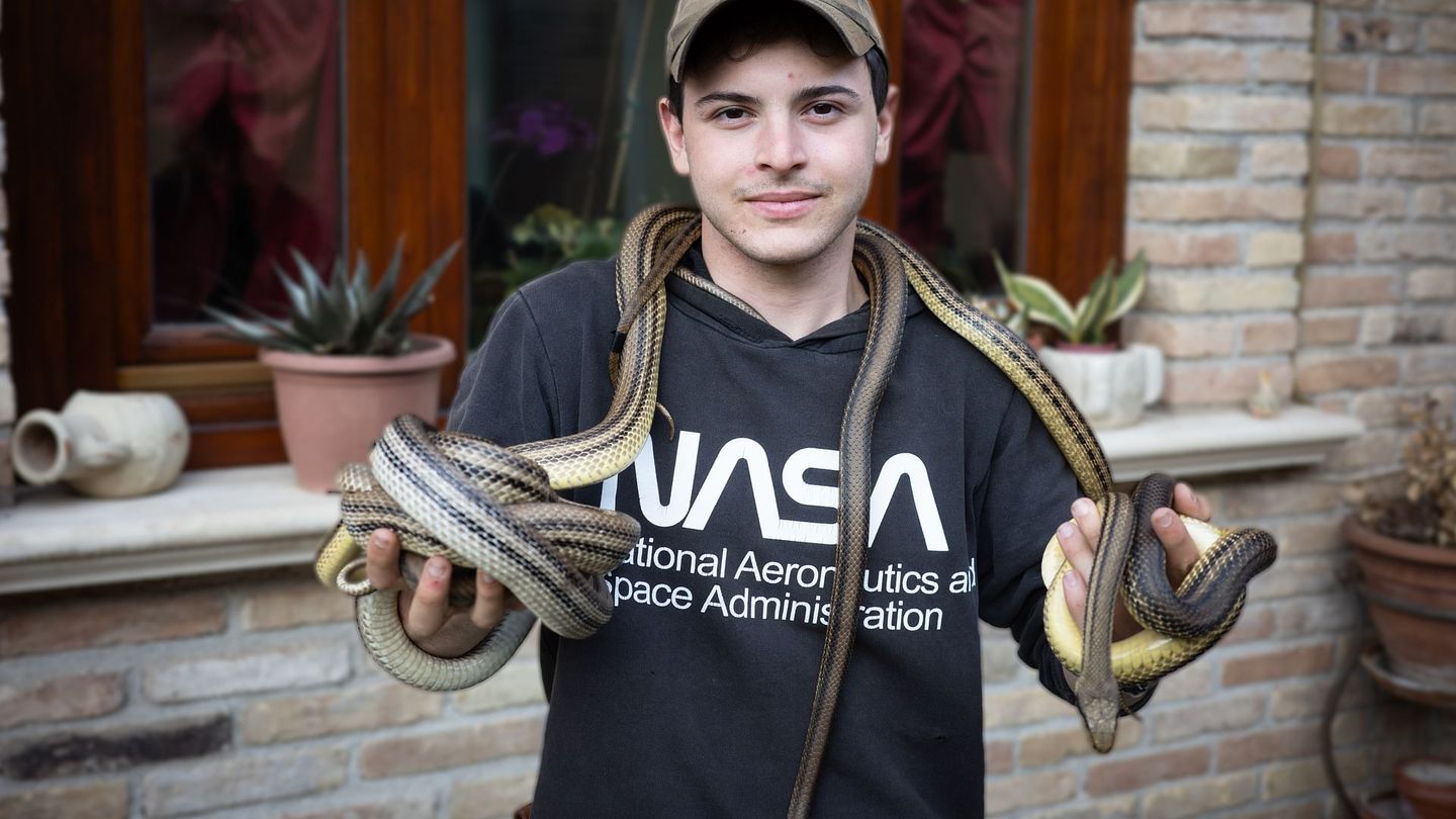 Italie : la fête des serpents à Cocullo