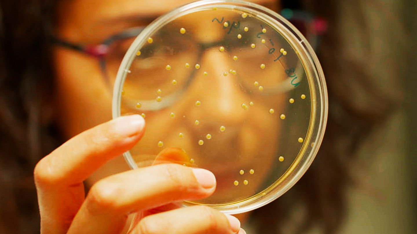 Ces microbes qui vous veulent du bien