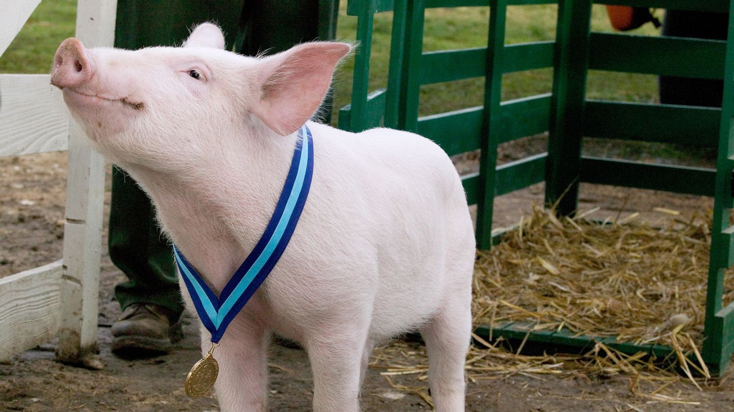 Le Petit Monde de Charlotte