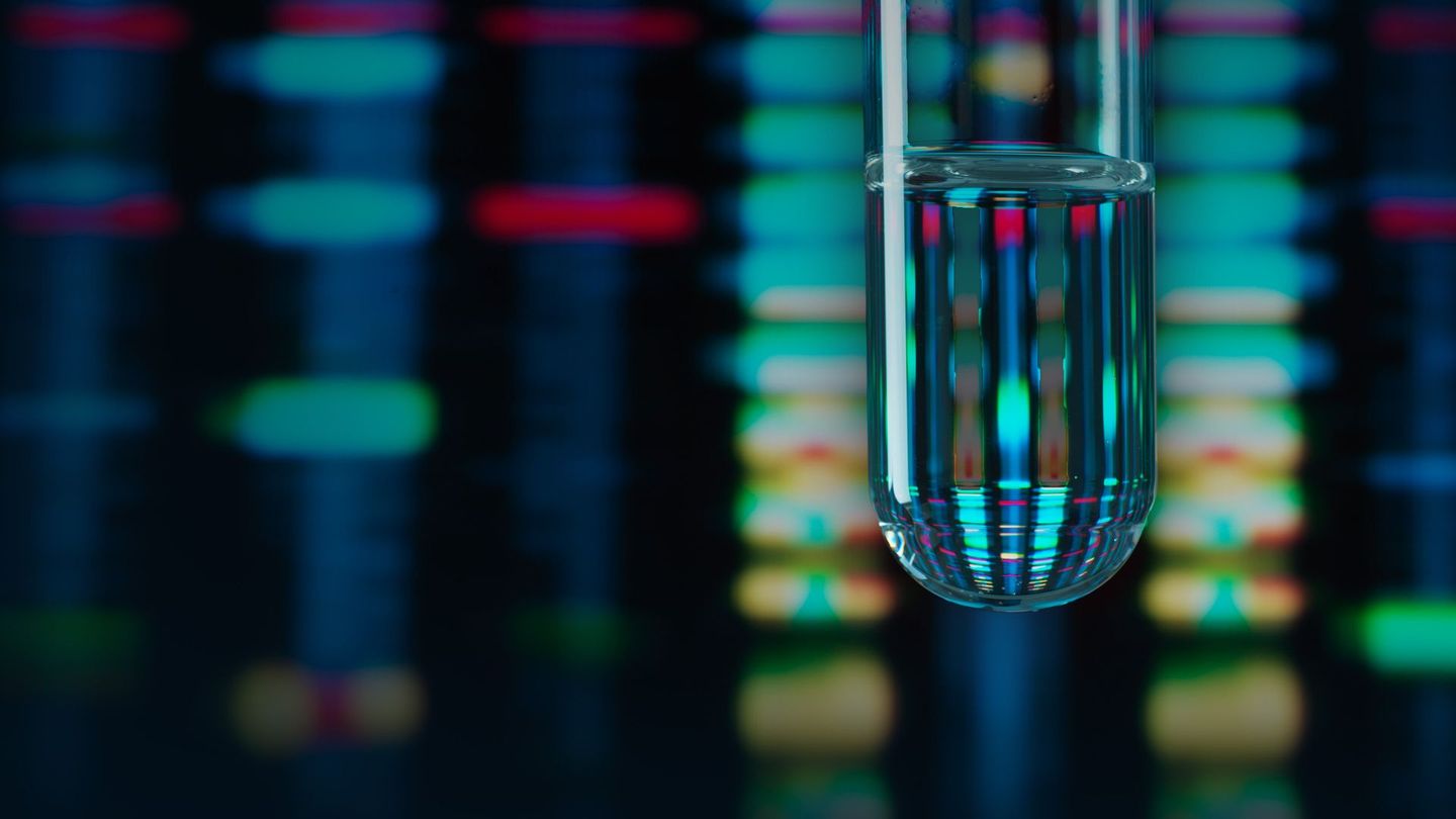 L'univers des cellules souches avec Stephen Hawking