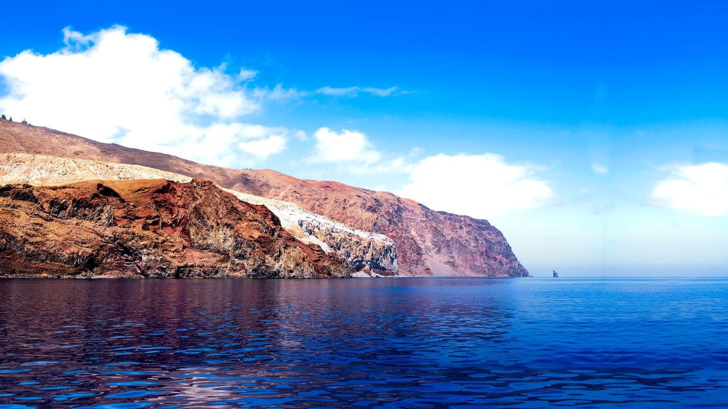 L'île des requins géants