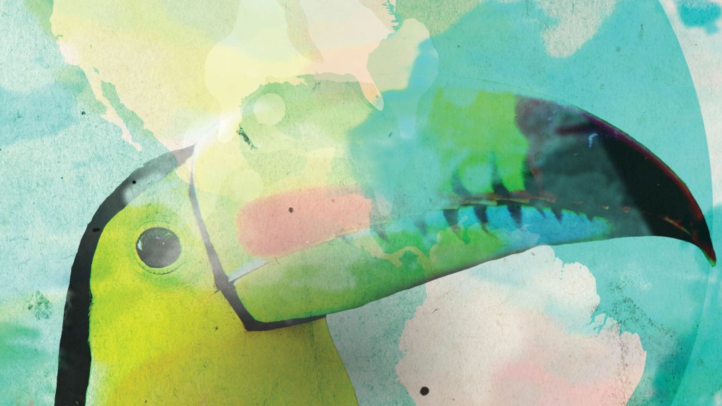 Toucan Nation : Sauvons Grecia !