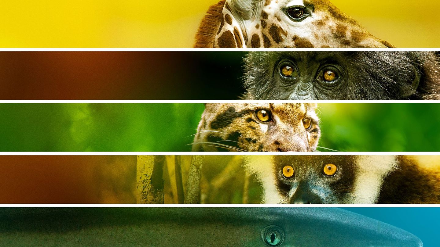 Urgence : espèces en danger