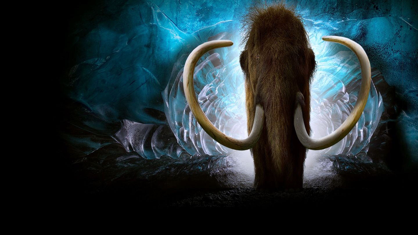 Le monde perdu de l'âge de glace