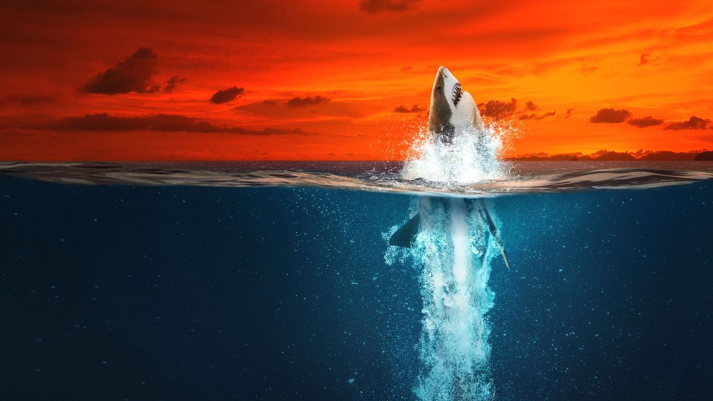 Air Jaws : mordus de records