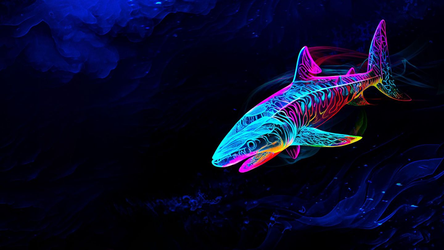 Sharktopia : le paradis des requins