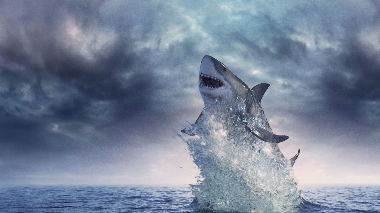 Requins : l'armée des profondeurs