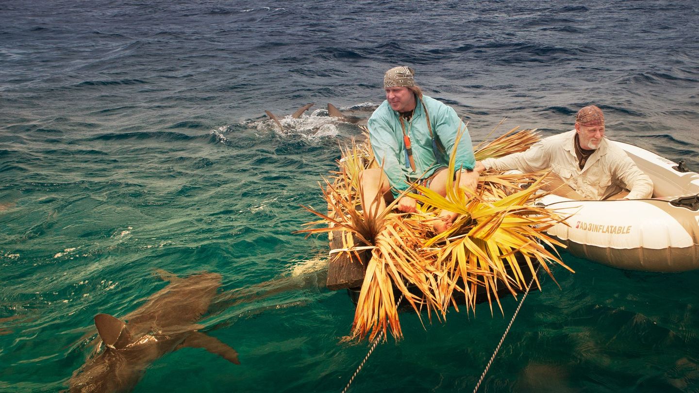 Comment Chassent les Requins