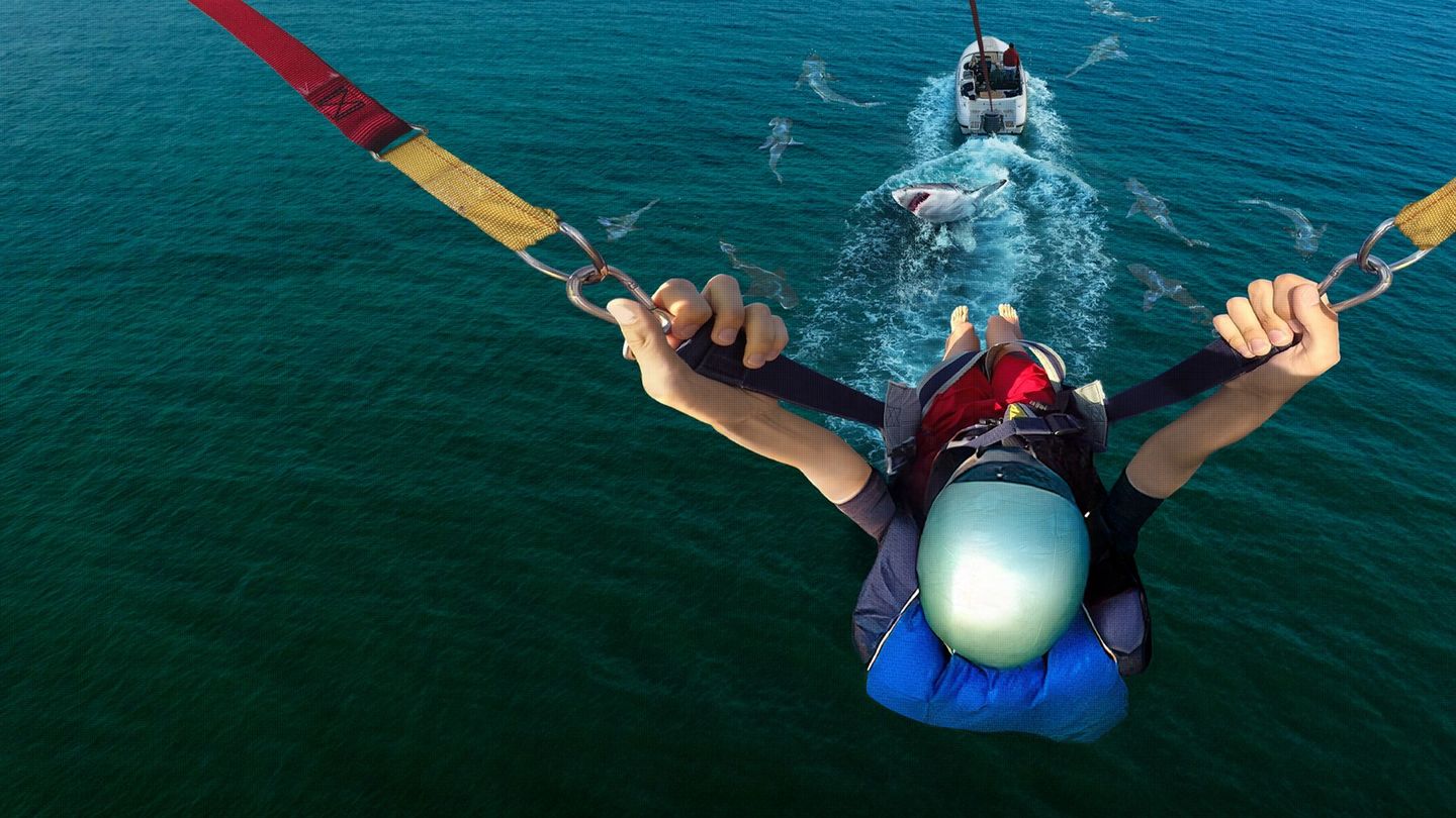 Sur le vif ! Quand les requins contre-attaquent