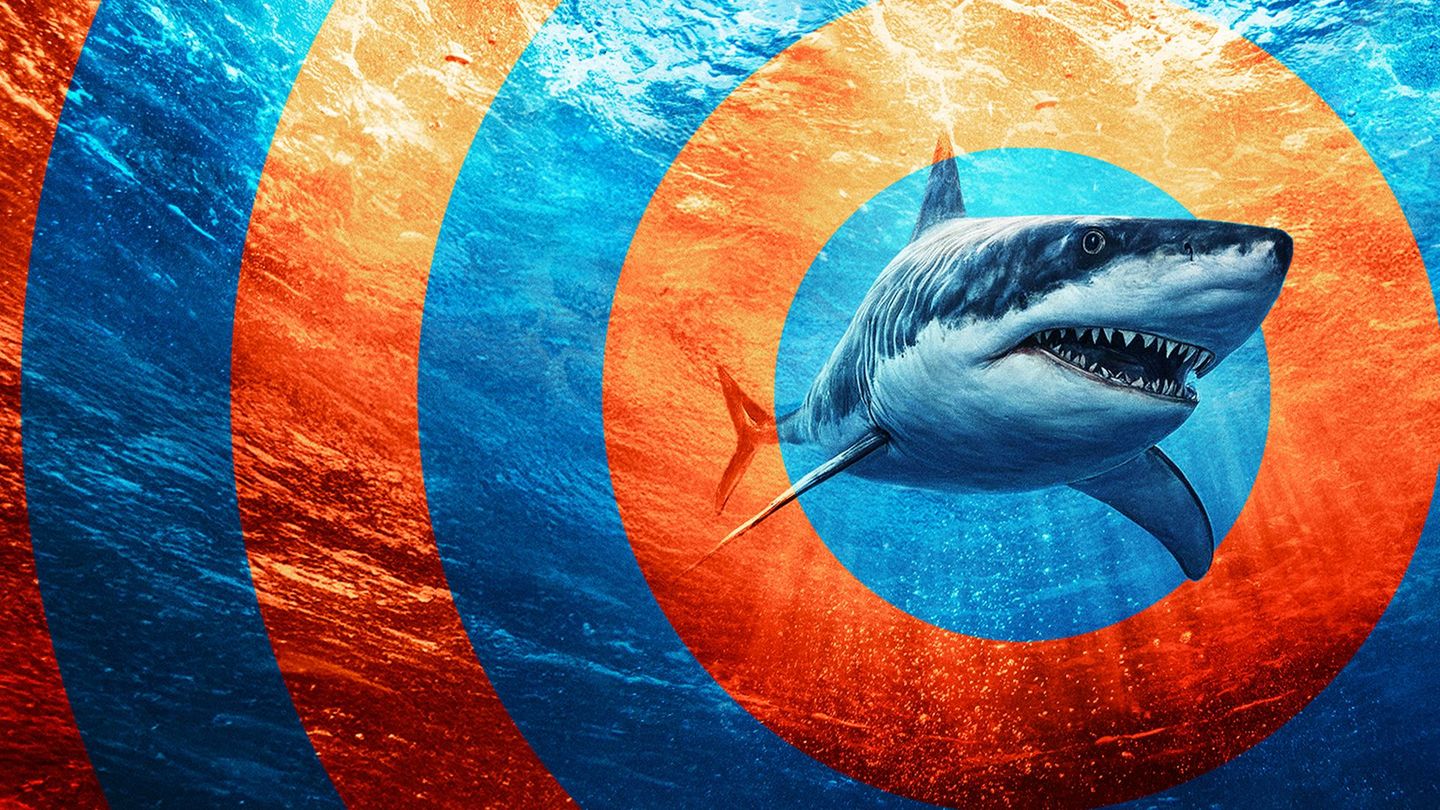 Attaques de requins : survivre au pire