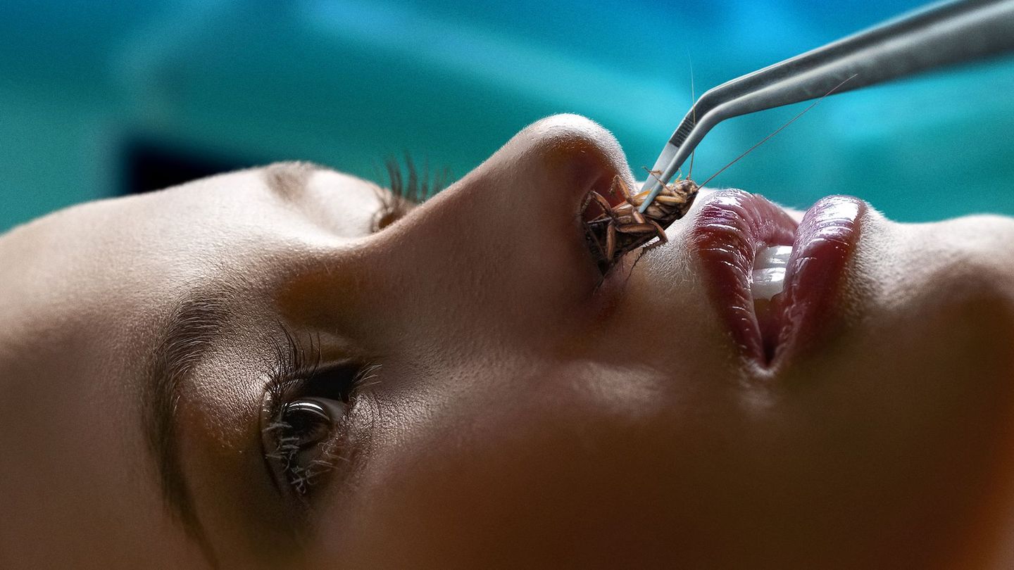 Dr Rose : au cœur des urgences